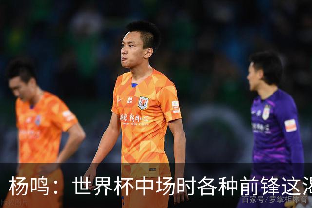 杨鸣：世界杯中场时各种前锋这渴了那饿了全来了 谁能记住后卫呢